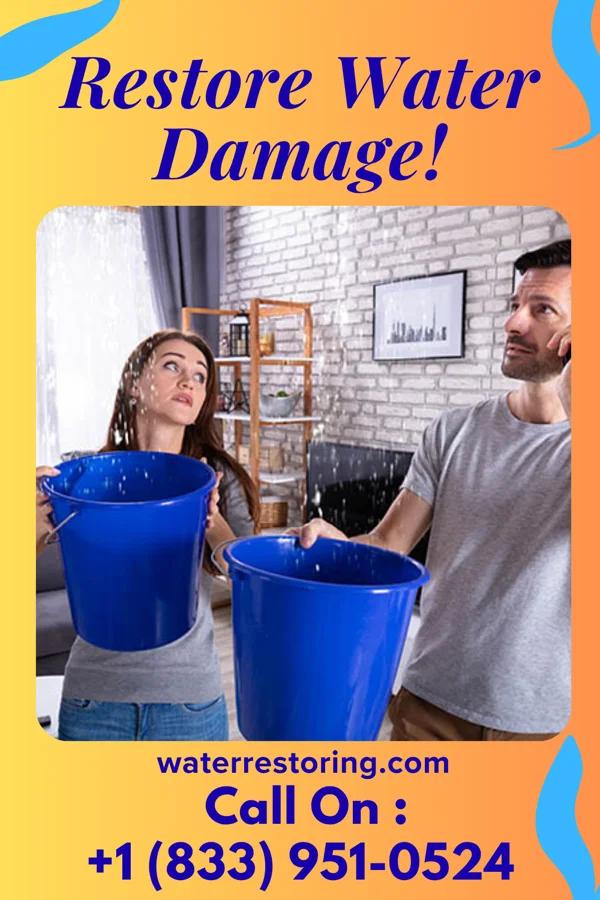 water restoration Reliable Flood Mitigation & Associates Toledo