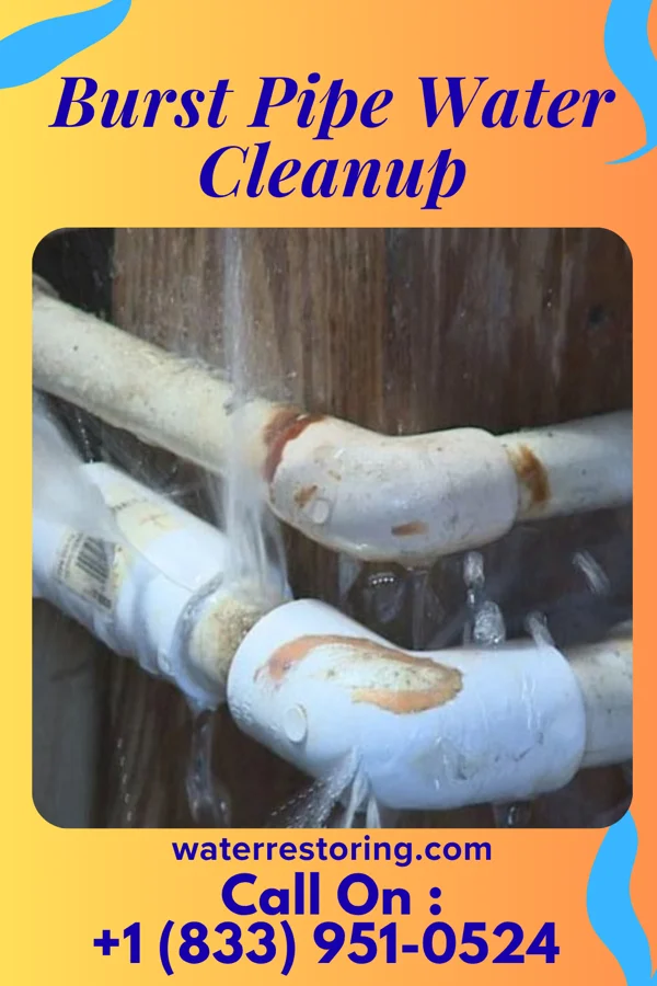 Burst Pipe Water Cleanup in Toledo, OH