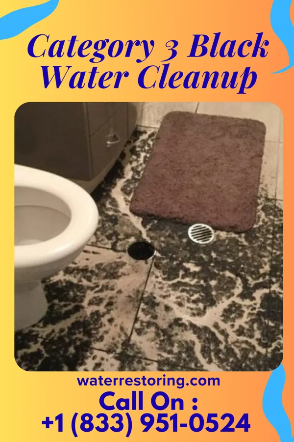Category 3 Black Water Cleanup in Toledo, OH