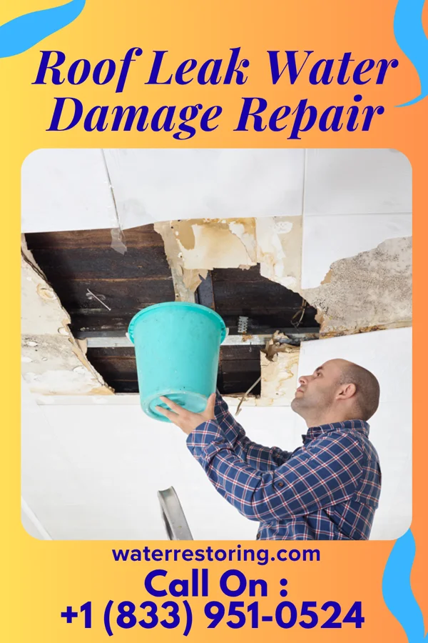 Roof Leak Water Damage Repair in Toledo, OH